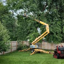 Best Storm Damage Tree Cleanup  in De Soto, IL