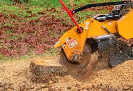 Best Tree Maintenance Programs  in De Soto, IL