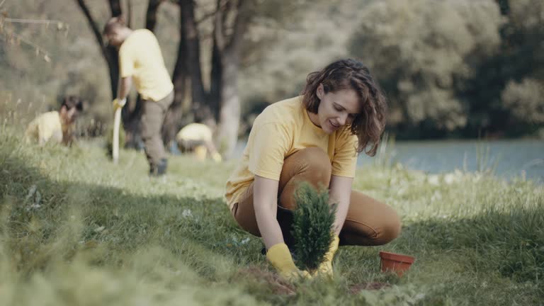 Best Lawn Drainage Solutions  in De Soto, IL